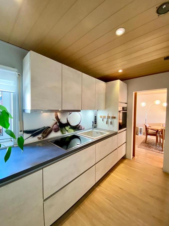 Ferienwohnung Bergblick イェーナ エクステリア 写真