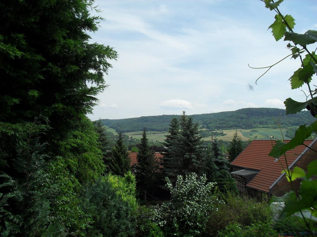 Ferienwohnung Bergblick イェーナ 部屋 写真